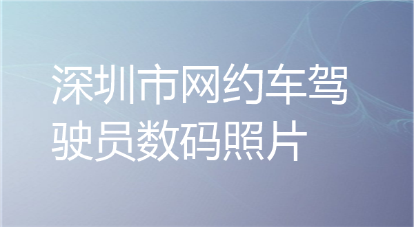 深圳市网约车驾驶员数码照片