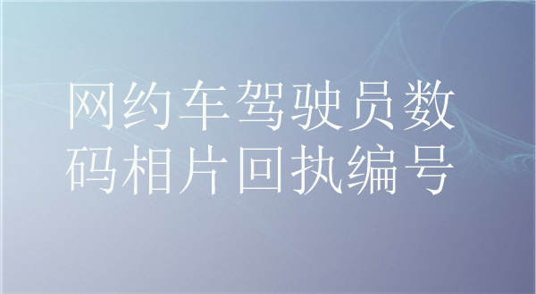 网约车驾驶员数码相片回执编号