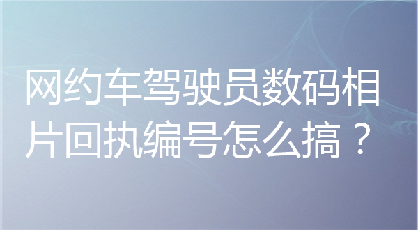 网约车驾驶员数码相片回执编号怎么搞