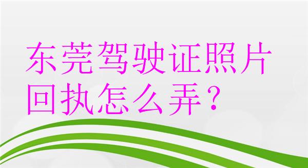 东莞驾驶证照片回执怎么弄？