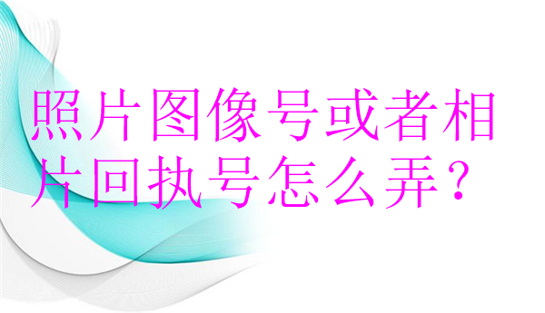 照片图像号或者相片回执号怎么弄？