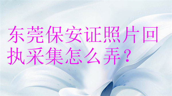 东莞保安证照片回执采集怎么弄？