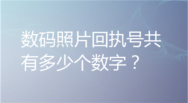 数码照片回执号共有多少个数字？