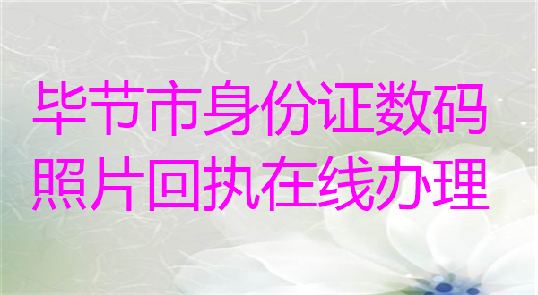 毕节市身份证数码照片回执在线办理