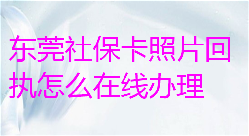 东莞社保卡照片回执怎么在线办理