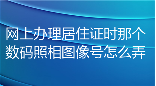 网上办理居住证时那个数码照相图像号怎么弄