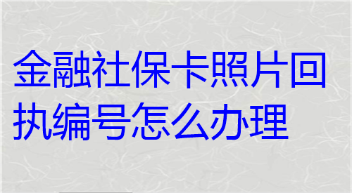 金融社保卡照片回执编号怎么办理