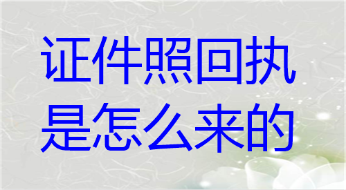 证件照回执是怎么来的？