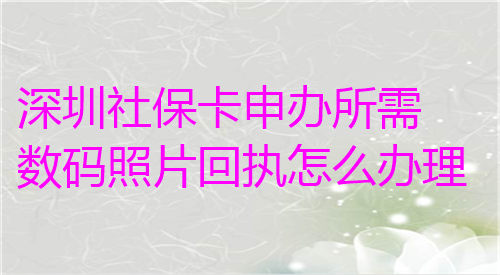 深圳社保卡申办所需数码照片回执怎么办理？