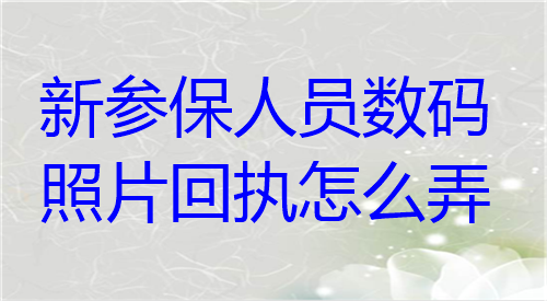 新参保人员上门照片回执怎么弄？