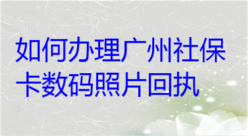 如何办理广州受不了数码照片回执？